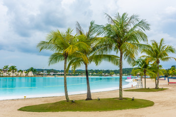Fototapeta na wymiar Palm trees in a beach in Indonesia