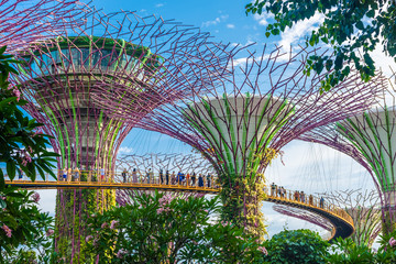 SINGAPORE, 3 OCTOBER 2019: The Supertrees of Gardens by the bay