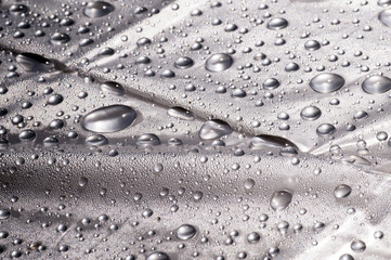 Surface tension. Water drops on the surface covered with foil.