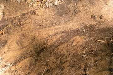 Swirled sand and dirt