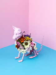 Pink cat skeleton with colorful flowers on pink background. Minimal Halloween scary concept. Isometric view photography. - obrazy, fototapety, plakaty