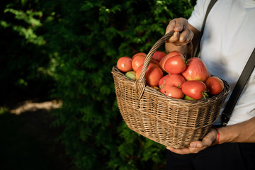 woman holding basket of vegetables