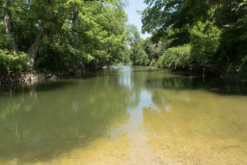 a Texas creek filled with green water
