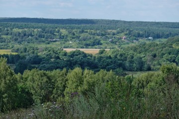 summer green landscape in Russia.	