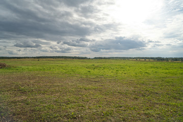 Fototapeta na wymiar village landscape, green grass field and sky with clouds