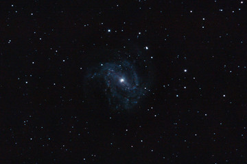 M83 - Southern Pinwheel Galaxy © Wagner