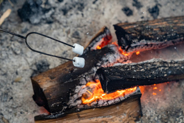 Two marshmallows roasting over a campfire, making smores