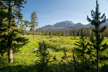 VIew of the Pinnacles Buttes near Brooks Falls waterfall area, in Wyomings Shoshone National Forest in summer