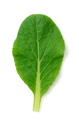 Obraz premium Salad leaves on a white background