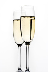 シャンパン 白バック アップ