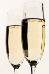 シャンパン 白バック アップ