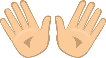 Vector illustration of a hands showing palms