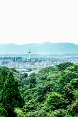 夏の京都