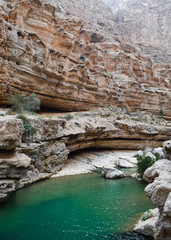 Beautiful canyon and green lagoon in Wadi Shab, Oman.