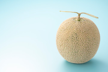 メロン 夏の果物