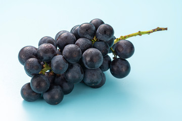 巨峰　夏の果物