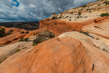 Slickrock Formations Atop The Water Pocket Fold,Cassidy Arch Trail, Capitol Reef National Park, Utah,USA