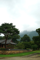 Fototapeta premium 한국의 아름다운 초가집 풍경