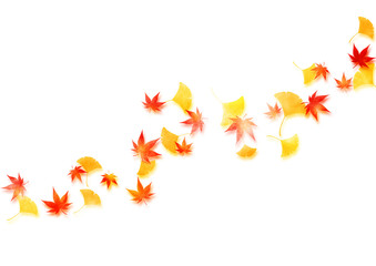 紅葉とイチョウの背景