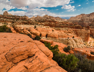 Slickrock Formations On The Cassidy Arch Trail, Capitol Reef National Park, Utah,USA