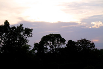 the grand and mysterious architecture of Cambodia.