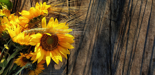 Sunflower with golden ears of wheat  bouquet on dark rustic wooden background. Colorful summer background with copy space (place for text). Top view.