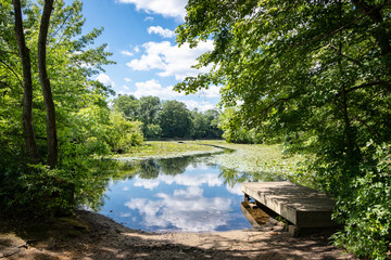 Fresh colorful scenic view of boat dock in a lake/pond surrounded by wooded nature in the summer.