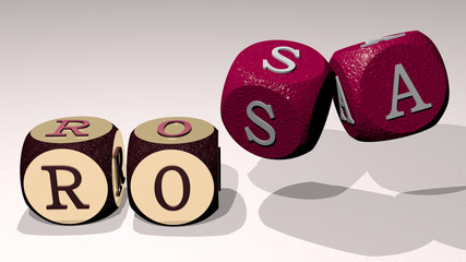 ROSA text by dancing dice letters, 3D illustration for rose and background