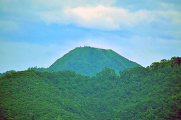 Nature, Wild And Animals