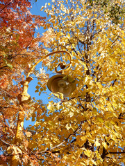yellow street lamp among festive autumn yellow and red foliage against blue sky