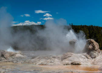 Steam And Boiling Water From Grotto Geyser, Upper Gayser, Basin, Yellowstone National Park, Wyoming, USA