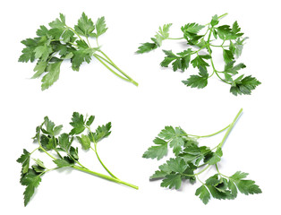 Set with green parsley on white background