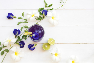 herbal healthy drinks  mix lemon and  flower butterfly pea purple cold cocktail water local flora of asia arrangement flat lay style on background white 