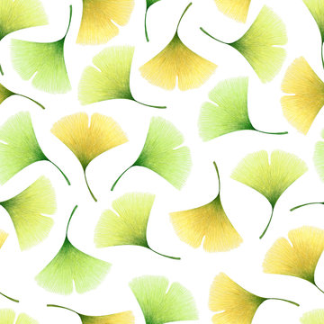 Watercolor seamless pattern with hand drawn ginkgo leaves isolated on white background. Autumn illustration for print, card, invitation, wallpaper, home decor, fabric