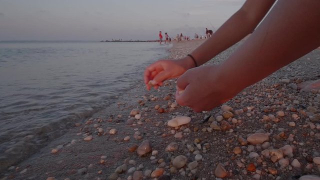 Closeup of beach comber collecting rocks and shells along a seashore during sunset at dusk