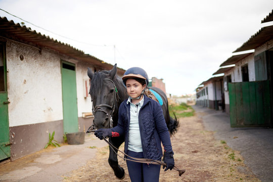 Girl in rider clothes leading black stallion with saddle by reins while walking on pathway near stable in daylight and looking away