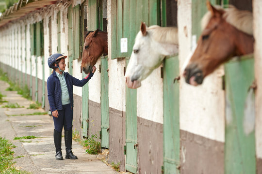 Cheerful child in helmet and high boots standing on walkway while stroking chestnut stallion peeking out of stabling near horses on farm
