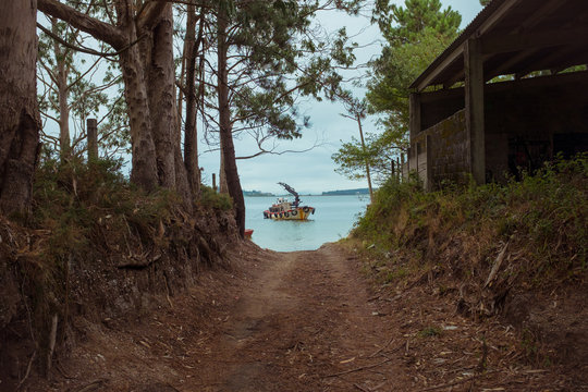 Dry walkway passing between trees with thick trunks and wooden house with motorized boat floating on river under serene sky