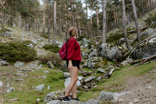 Low angle full length side view of unrecognizable female hiker standing on stone and looking away during trekking in forest in Navacerrada in Spain
