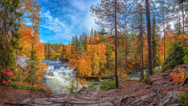 Powerful wild river flowing through magnificent autumn forest with colorful trees against cloudy blue sky