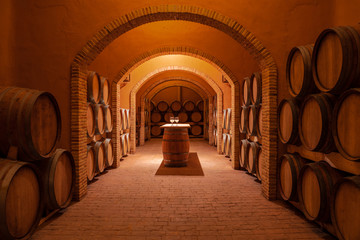 Interior of contemporary spacious winery storage with wooden barrels and cozy table in center for wine tasting