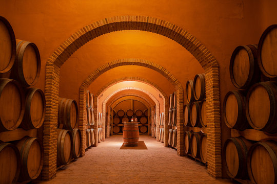 Interior of contemporary spacious winery storage with wooden barrels and cozy table in center for wine tasting