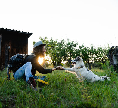 Side view of friendly Border Collie giving paw to male hipster sitting on grass during sundown in summer