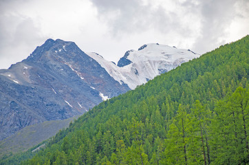 Obraz premium Beautiful mountains Altai summer landscape