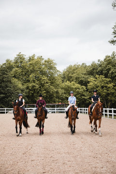 Company of female jockeys in uniform in saddles riding chestnut horses on sandy arena