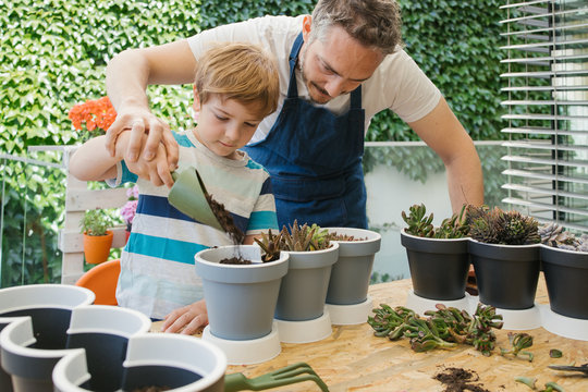 Crop cheerful man in apron and boy using gardening trowel while adding soil into pot with cacti seedlings standing near table behind lush green bushes