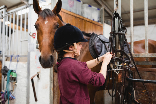 Side view of female equestrian in helmet preparing reins for horseback riding while standing in stable with chestnut horse