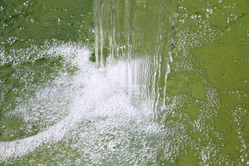 frothy surface of water