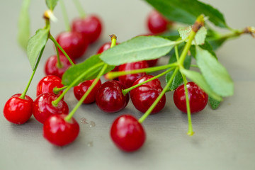 cherry cluster with leaves close-up