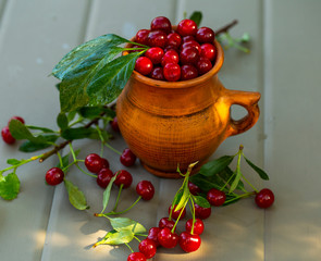red cherry in a ceramic jug in the summer garden